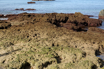 Las Canteras beach, low tide. Gran Canaria, Spain