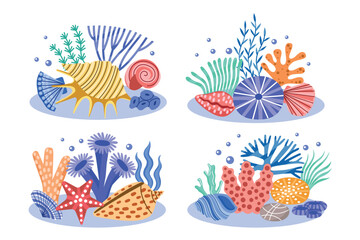 Color doodles seashells and algae. Marine compositions, tropical conchas with ocean seaweeds, decorative corals and shells, vector set.eps