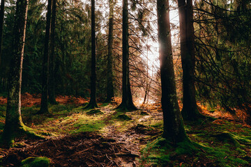 Obraz premium spa belgium