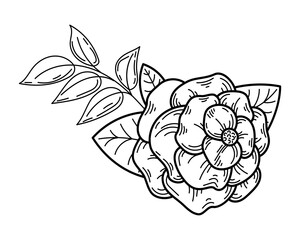 Flower bouquet coloring book. Rose, leaves. Hand drawn sketch illustration.