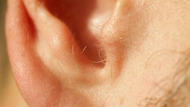 The ear of a man with hair is very close