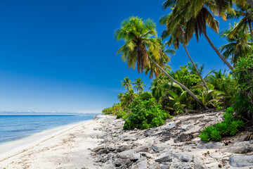 Coconut beach on Maldives island, ideal place for chilling. Tropical banner