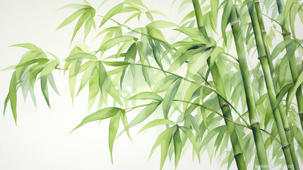 Fototapeta na wymiar watercolor bamboo tree.