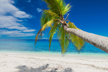 Luxury beach on Maldives. Tropical holiday banner with blue ocean