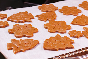 Gingerbread dough. Making gingerbread cookies for Holidays. Christmas cookies