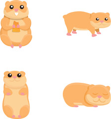 Cute hamster icons set cartoon vector. Animal rodent. Cartoon character