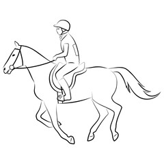 Illustration with a horse and rider performing at endurance race