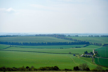 Fototapeta na wymiar View over green farm fields in the south of England