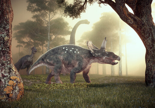 Dinosaur - Diceratops in nature.
