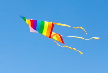 A kite in flight in the sky
