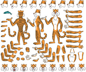 Vector cartoon style tiger character for animation. Different emotions, gestures and poses. Isolated vector illustration. © Samad