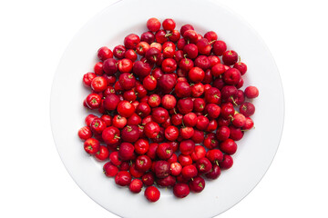 harvesting many ripe acerolas