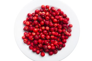 harvesting many ripe acerolas