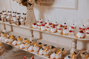 Almond cookies and various sweet cakes for a wedding banquet. A delicious reception, a luxurious ceremony. Table with sweets and desserts. Delicious colorful French desserts on a plate or table.