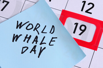 Inscription World Whale Day background of calendar with 19th number marked in red.