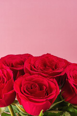 Bouquet of red roses on pink background. Greeting card for Valentines Day, Womens Day. Holiday concept.