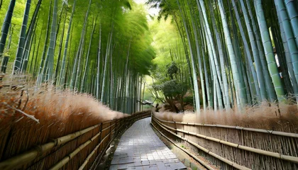 Fototapete Rund kyoto japan bamboo forest © William