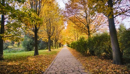 Fototapeta na wymiar autumn alley with beautiful golden colors and leaves foliage generative ai
