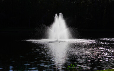  A Florida community pond and fountain