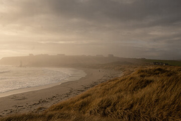 Dog walking on a windswept beach in autumn