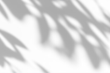 Shadow overlay effect. Abstract sunlight background with organic botanical shadows from plants,...