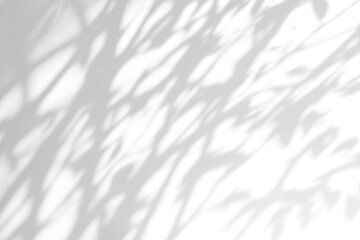 Shadow overlay effect. Abstract sunlight background with organic botanical shadows from plants, leaves, and branches.
