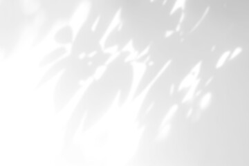 Shadow overlay effect. Abstract sunlight background with organic botanical shadows from plants, leaves, and branches.