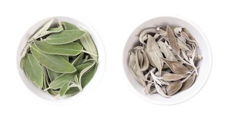 Fresh and dried sage leaves, in white bowls. Common sage, Salvia officinalis, a grayish green herb...