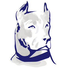 Pitbull terrier vector illustration on white.