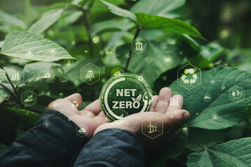Earth protection hand with word Net Zero with icon against green leaf background, concept of net...