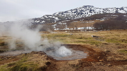 A small active geyser in Iceland.