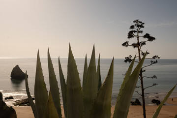 Sea view in the Algarve, Portugal