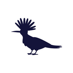 Tropical hoopoe bird with long crest and beak black silhouette, vector cartoon exotic wild bird jungle fauna animal © Kudryavtsev