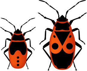Firebug Vector Illustration Graphic