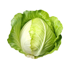 Natural and fresh Savoy cabbage isolated on transparent background
