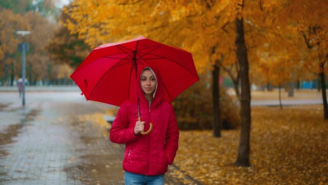 close up shot of woman in red jacket with bright umbrella walks in autumn park at rainy day. wet rain weather, fall season, golden foliage