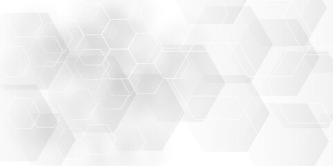 Seamless pattern with hexagonal white and gray technology line paper background. Hexagonal vector grid tile and mosaic structure mess cell. white and gray hexagon honeycomb geometric copy space.