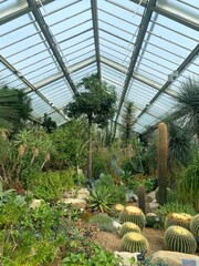 Inside the Greenhouse