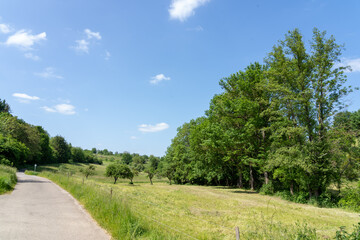 Fototapeta na wymiar Landschaft Neulingen
