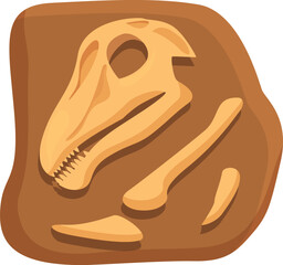 Head bones dinosaur icon cartoon vector. Stone fossil. Nature mud layer