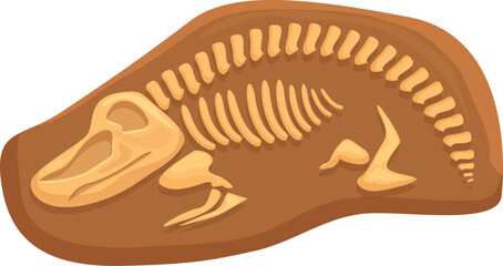 Layer fossil icon cartoon vector. Dinosaur skeleton. Bone evolution print - obrazy, fototapety, plakaty