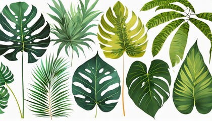 tropical leaves collection vector isolated elements - obrazy, fototapety, plakaty