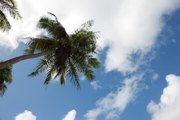 Fototapeta na wymiar Guam island view on a sunny summer day