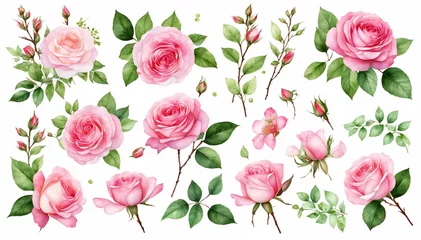 Deurstickers Set watercolor arrangements with roses. collection garden pink flowers, leaves, branches, Botanic  illustration isolated on white background. © SR07XC3