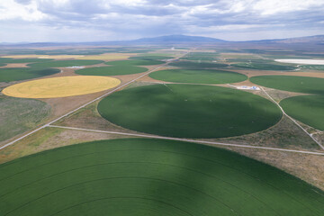 Aerial drone of green crop circles in fields of Idaho.  Shot on a drone in the western part of the United States.  Flat plain landscape of abstract backgrounds.