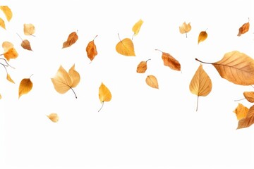 Fototapeta premium Leaves flying in the air, creating a beautiful and dynamic scene. Perfect for nature or autumn-themed designs