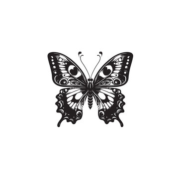 Butterfly Silhouette - Mesmerizing Winged Creature in Captivating Silhouette Form
