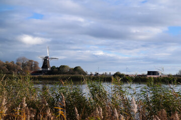 Wiatrak nad wodą w Holandii. - obrazy, fototapety, plakaty