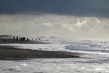 Krajobraz dramatyczny, Morze Północne w Holandii podczas sztormu. - obrazy, fototapety, plakaty