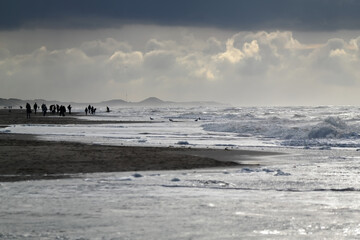 Krajobraz dramatyczny, Morze Północne w Holandii podczas sztormu. - obrazy, fototapety, plakaty